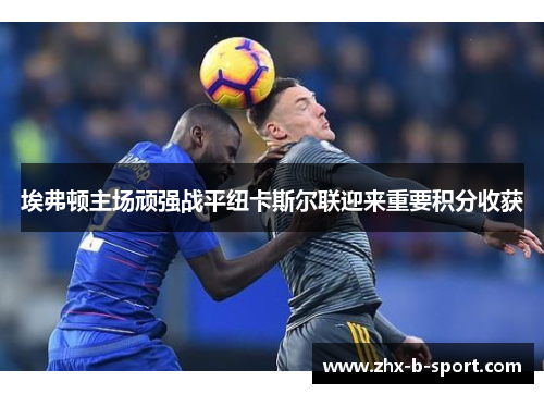 埃弗顿主场顽强战平纽卡斯尔联迎来重要积分收获