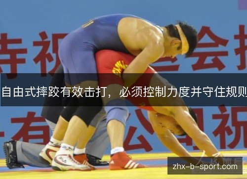 自由式摔跤有效击打，必须控制力度并守住规则